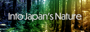 Into Japan's Nature