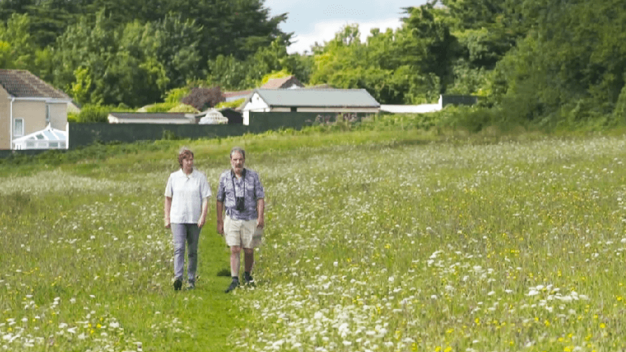 OUR BLUE Biodiversity Fosters the Global Future