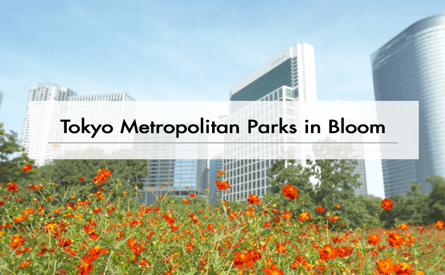 Tokyo Metropolitan Parks in Bloom